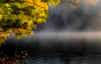 Autumnal Fog