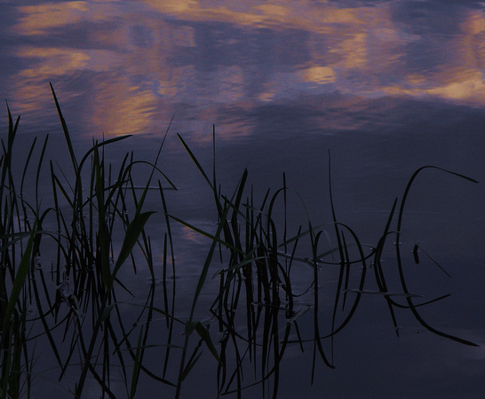 Arcadia Lake Reflection