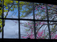 Spring Window