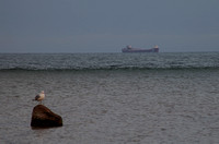 Freighter Passing Gull Island