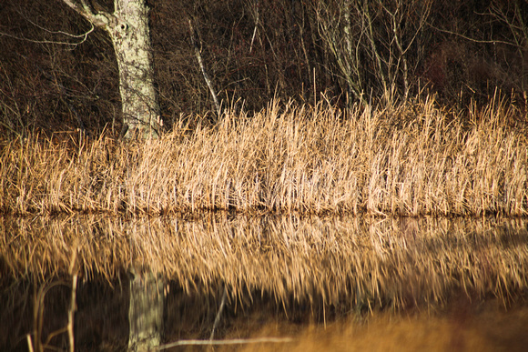 Fall Lake Scene Part 3