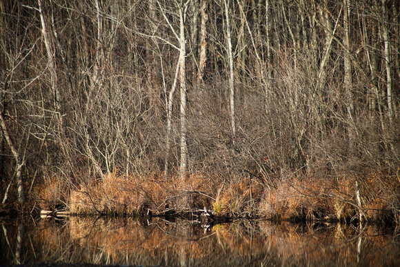 Fall Lake Scene Part 2